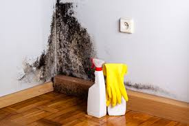 Best Commercial Mold Inspection  in Oakmont, PA